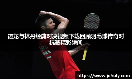 谌龙与林丹经典对决视频下载回顾羽毛球传奇对抗赛精彩瞬间