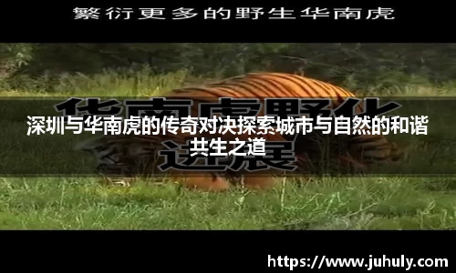 深圳与华南虎的传奇对决探索城市与自然的和谐共生之道